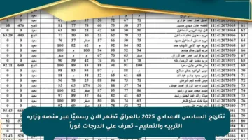 نتائج السادس الإعدادي 2025 بالعراق تظهر الآن رسميًا عبر منصة وزارة التربية والتعليم – تعرف على الدرجات فوراً